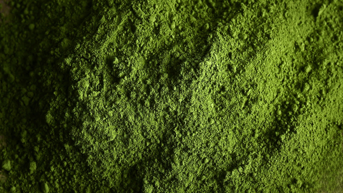 Warum Grassaftpulver kein Hype sind – und was unsere 5-fach-Mischung besonders macht